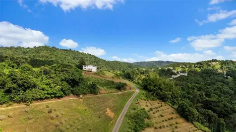 Hacienda Cascada Aguas Buenas PR 00703