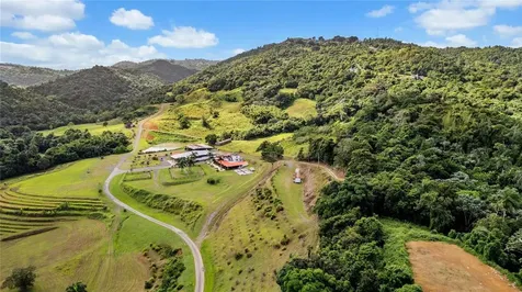 Hacienda Cascada Aguas Buenas PR 00703