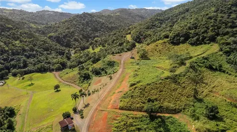 Hacienda Cascada Aguas Buenas PR 00703