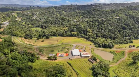 Hacienda Cascada Aguas Buenas PR 00703