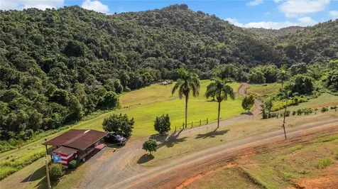 Hacienda Cascada Aguas Buenas PR 00703