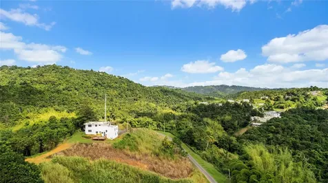 Hacienda Cascada Aguas Buenas PR 00703