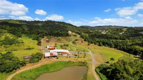 Hacienda Cascada Aguas Buenas PR 00703
