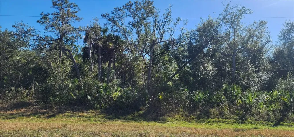 1173 Biscayne Drive Port Charlotte FL 33953