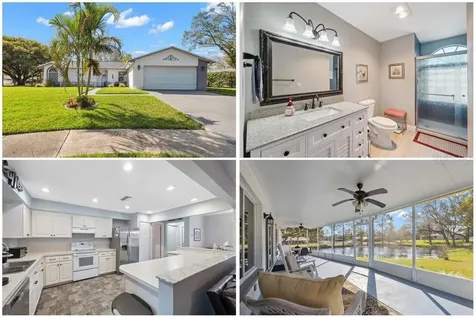 2862 Lomond Drive Palm Harbor FL 34684