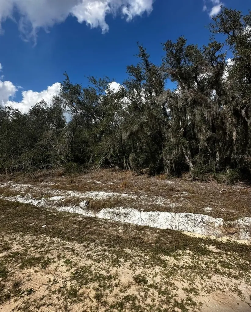 0 Allison Avenue Lake Wales FL 33859