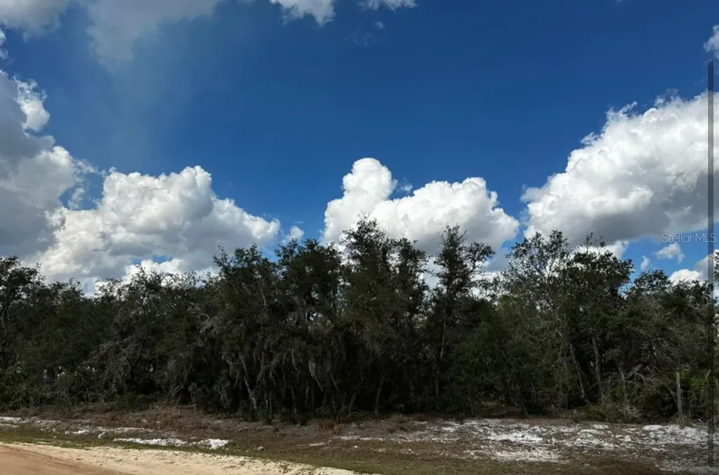 0 Allison Avenue Lake Wales FL 33859
