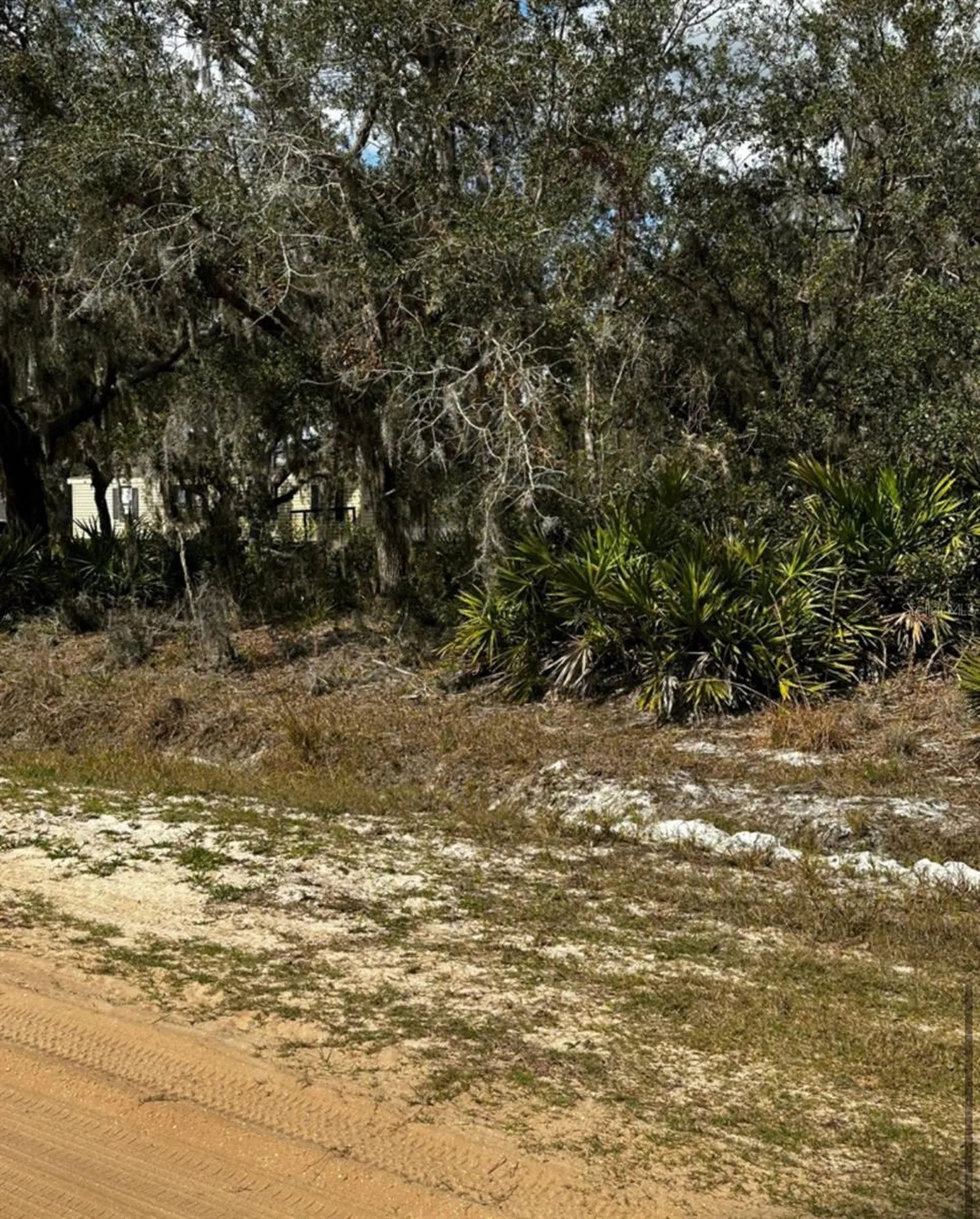 0 Allison Avenue Lake Wales FL 33859