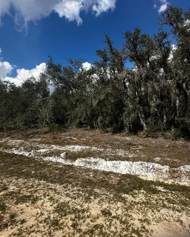 0 Allison Avenue Lake Wales FL 33859