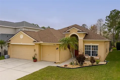 3203 Sago Point Court Land O Lakes FL 34639