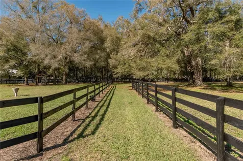1631 NE 165th Street Citra FL 32113