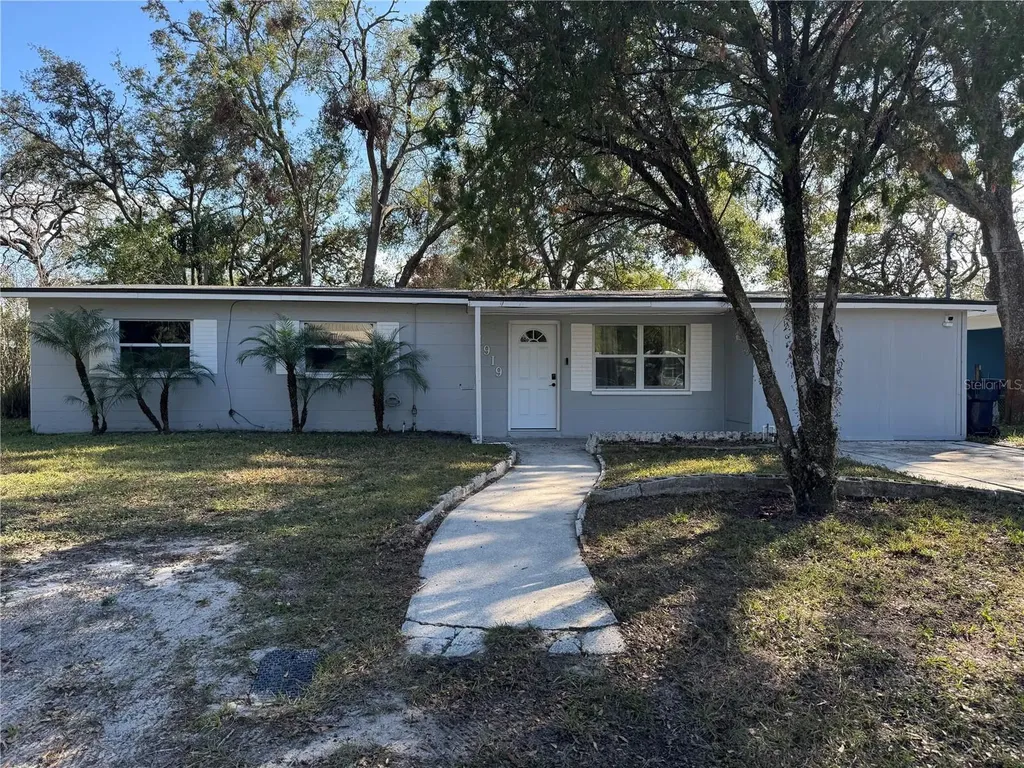 1919 E Noel Street Tampa FL 33610