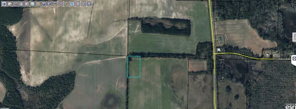 Old U S Road Marianna FL 32446
