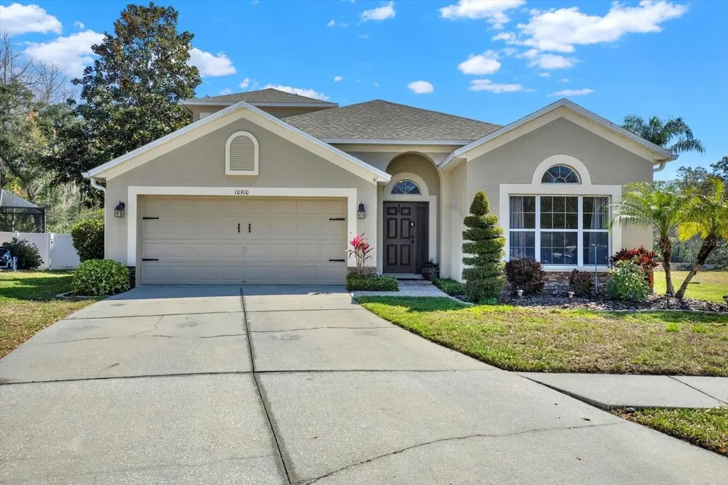 10910 May Apple Court Land O Lakes FL 34638