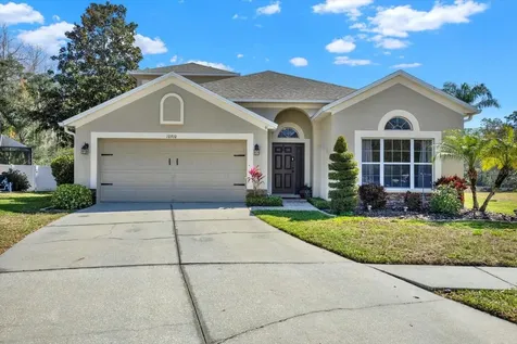 10910 May Apple Court Land O Lakes FL 34638