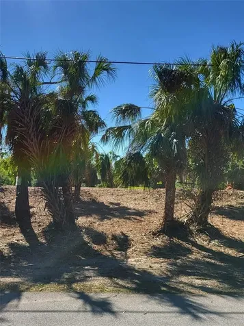 Bendix Terrace North Port FL 34286