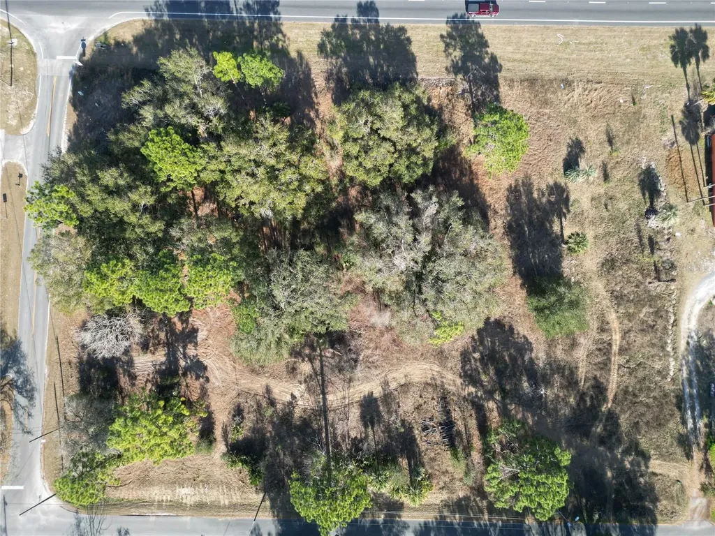 7280 SE 123rd Lane Belleview FL 34420