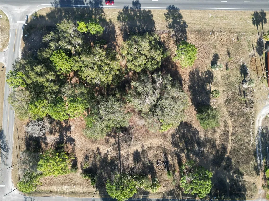 7280 SE 123rd Lane Belleview FL 34420