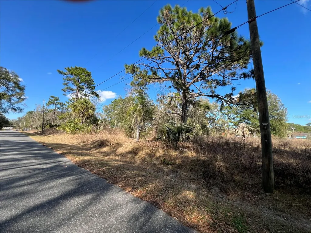 7280 SE 123rd Lane Belleview FL 34420