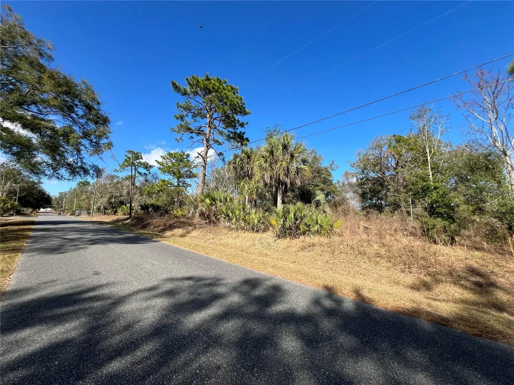 7280 SE 123rd Lane Belleview FL 34420
