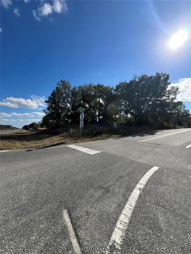 7280 SE 123rd Lane Belleview FL 34420