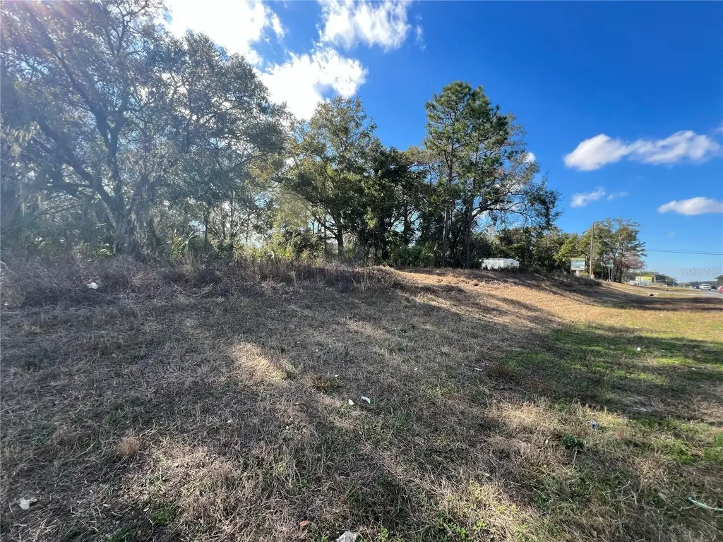 7280 SE 123rd Lane Belleview FL 34420