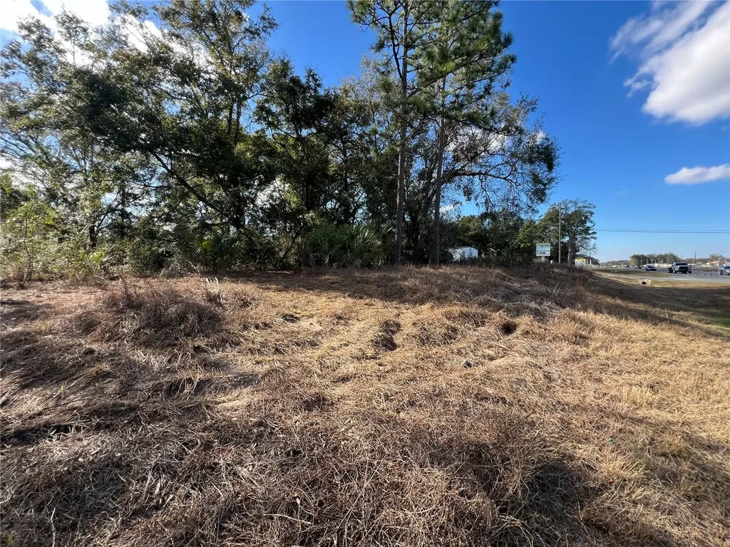 7280 SE 123rd Lane Belleview FL 34420