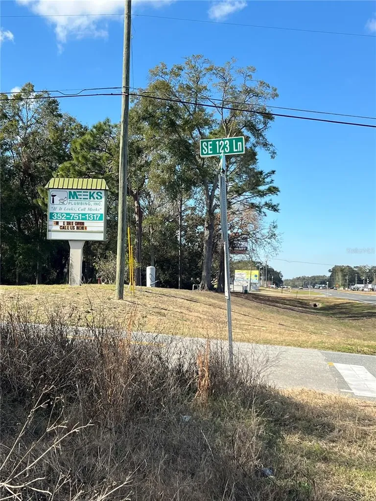 7280 SE 123rd Lane Belleview FL 34420