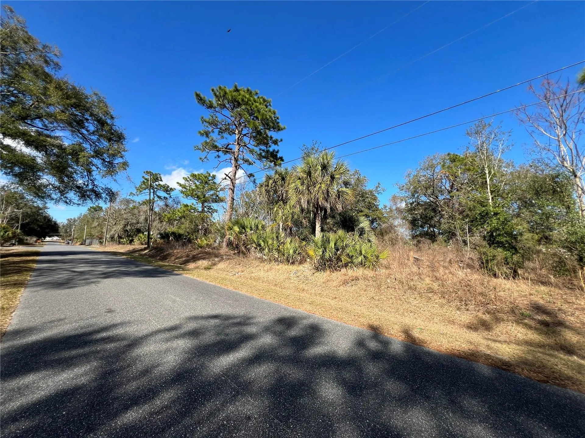 7280 SE 123rd Lane Belleview FL 34420