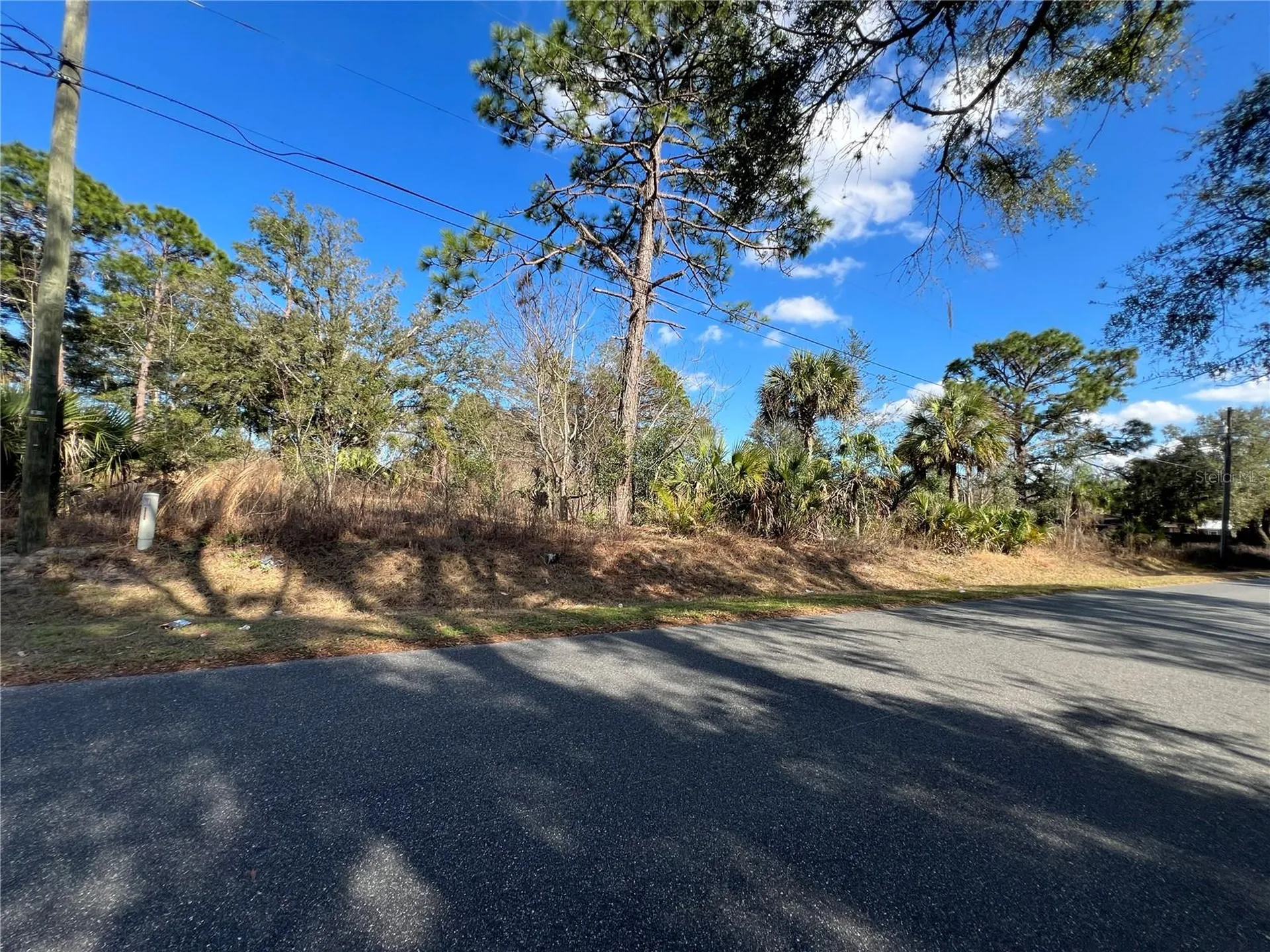 7280 SE 123rd Lane Belleview FL 34420