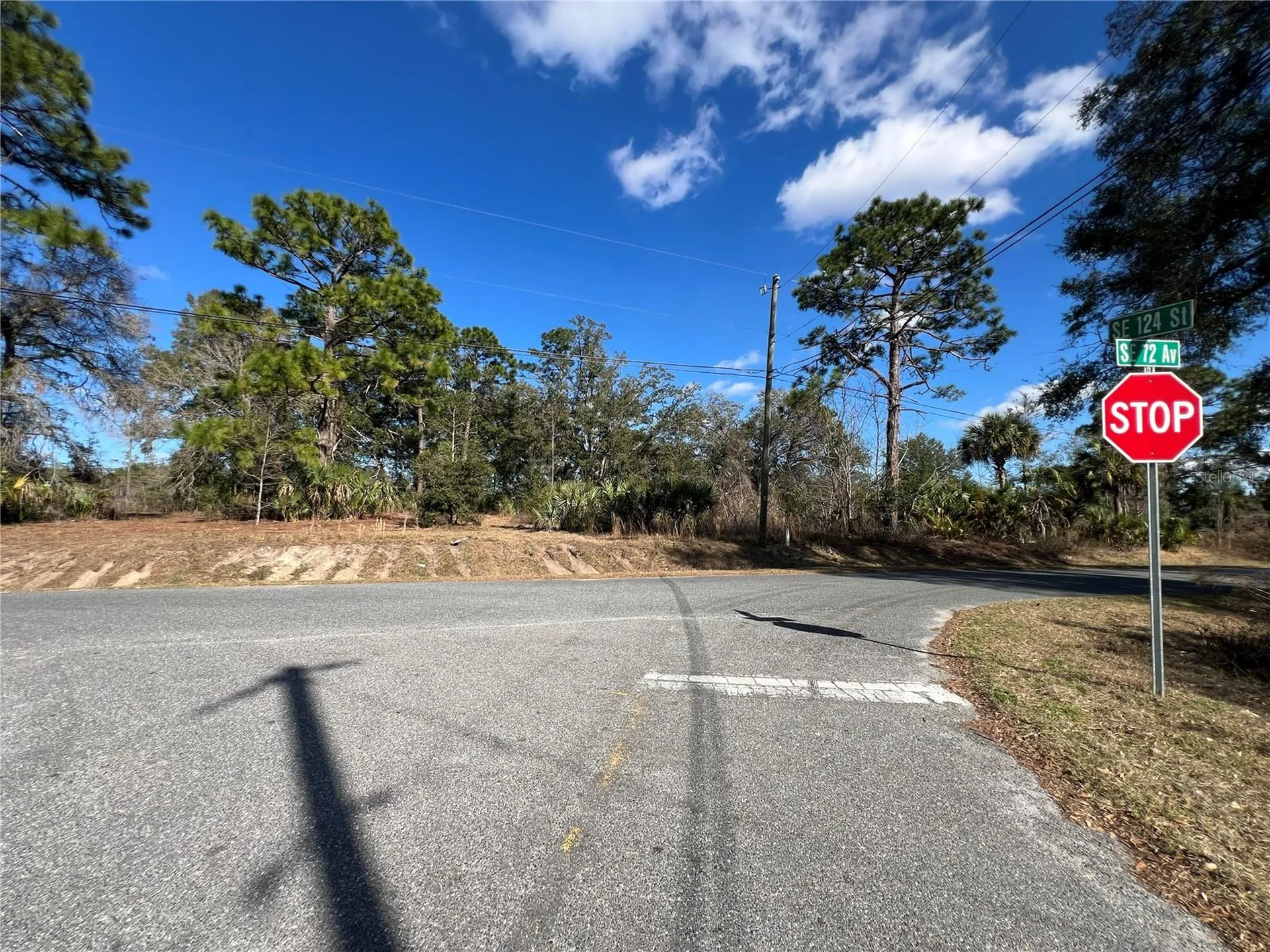 7280 SE 123rd Lane Belleview FL 34420