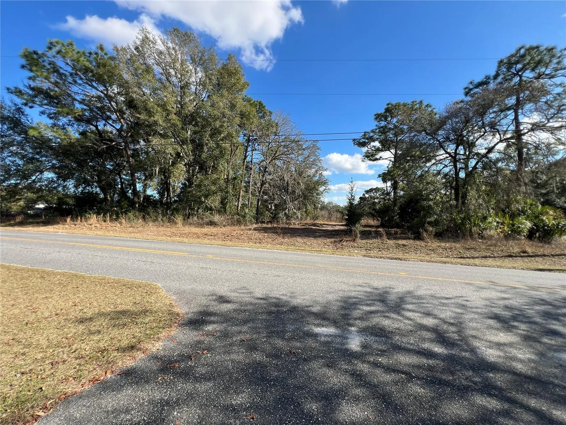 7280 SE 123rd Lane Belleview FL 34420