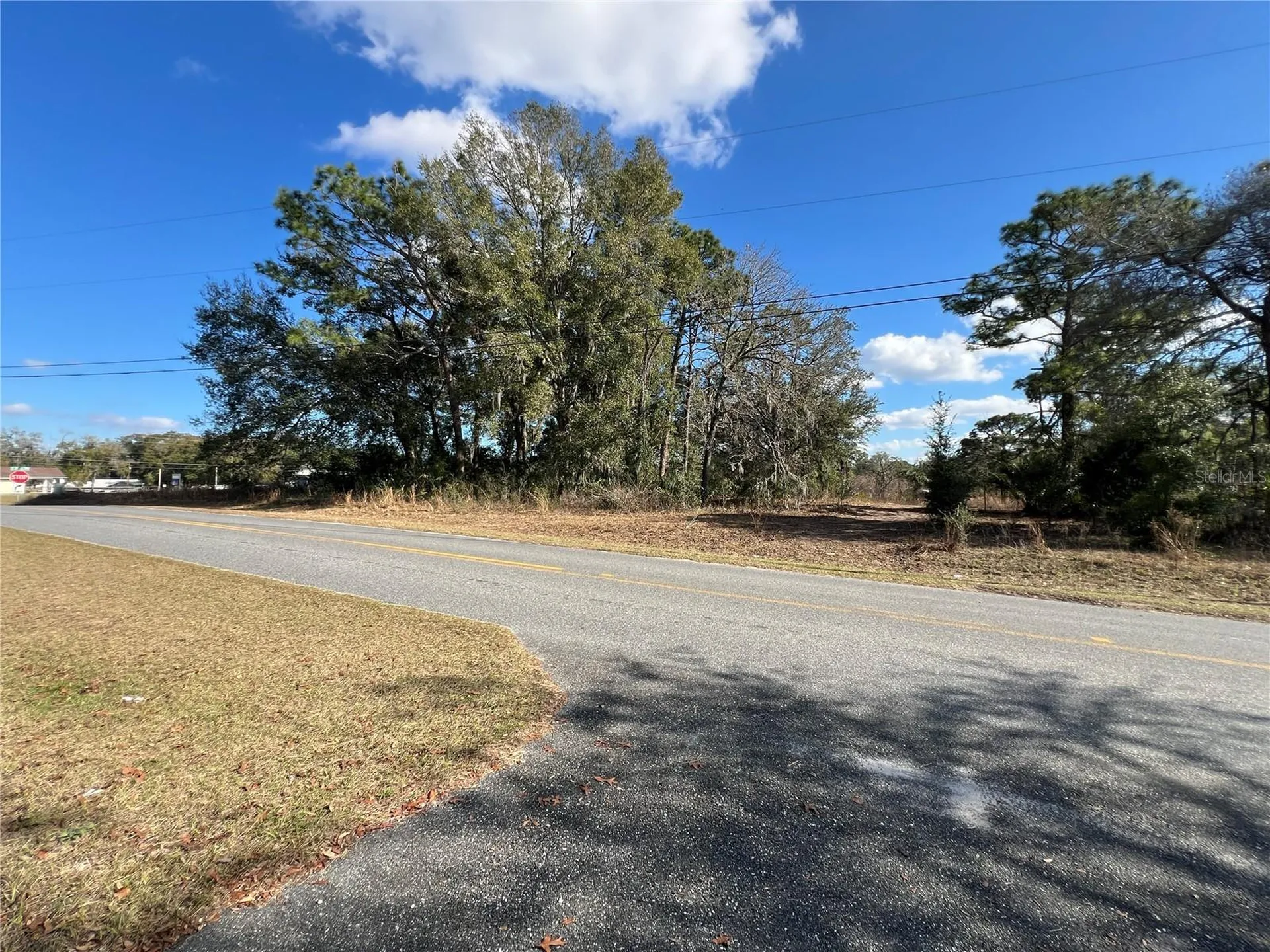 7280 SE 123rd Lane Belleview FL 34420