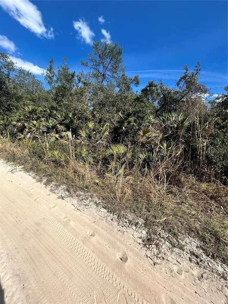 Deer Crossing Road Altoona FL 32702