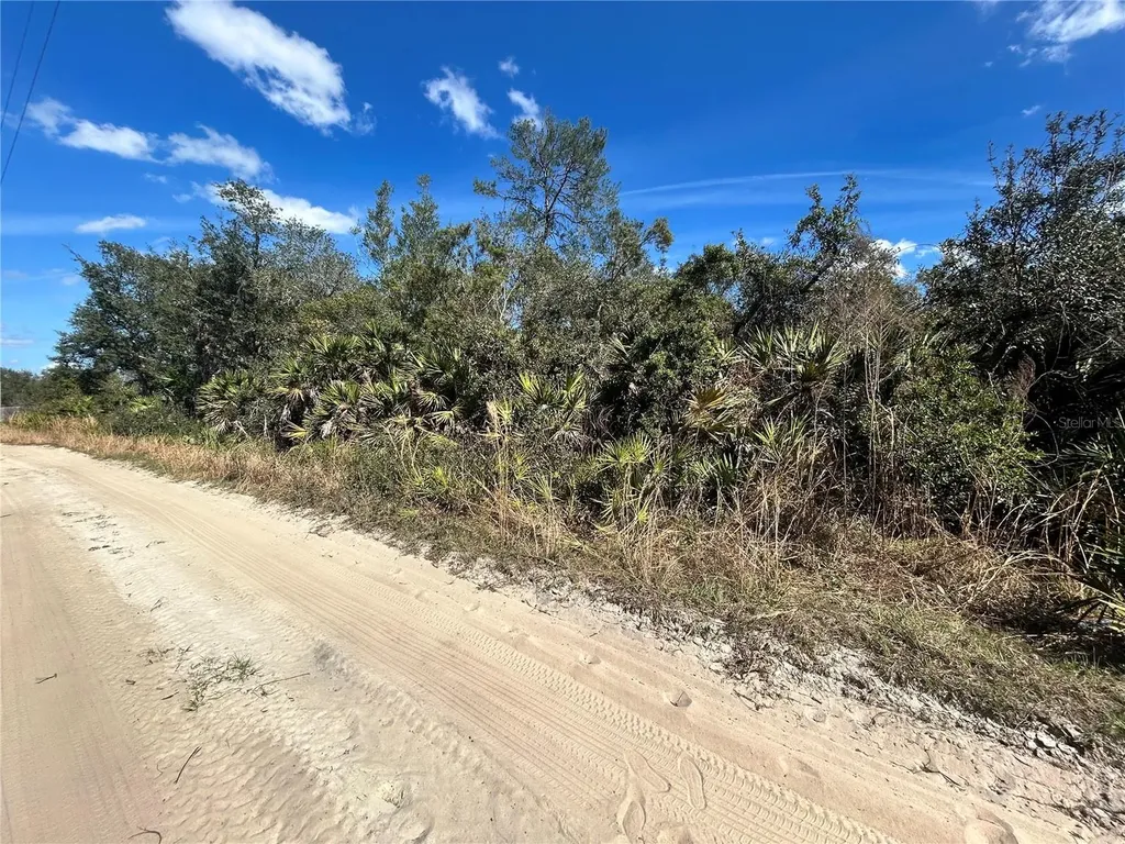 Deer Crossing Road Altoona FL 32702