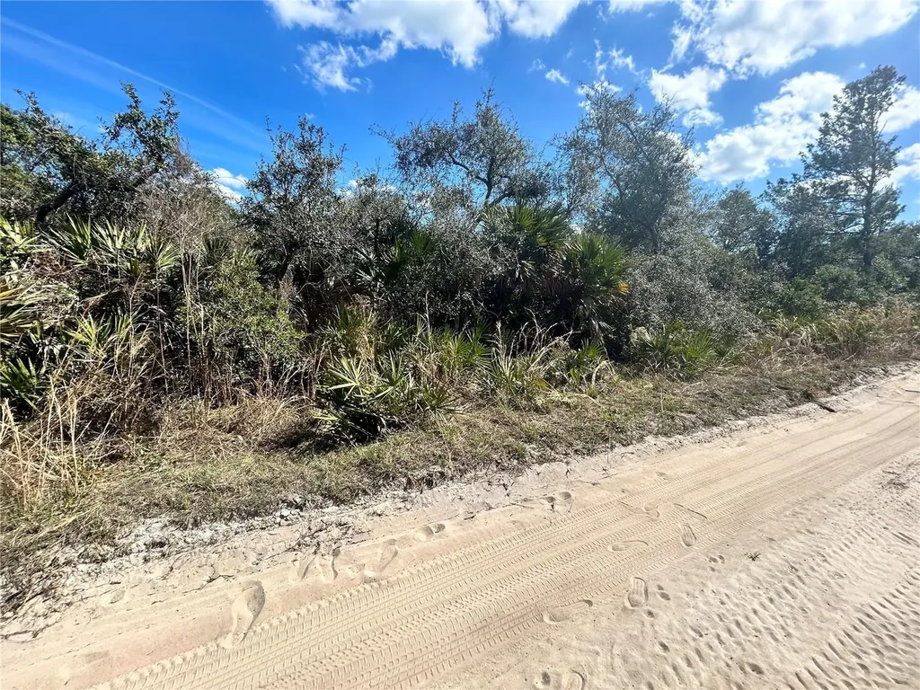 Deer Crossing Road Altoona FL 32702