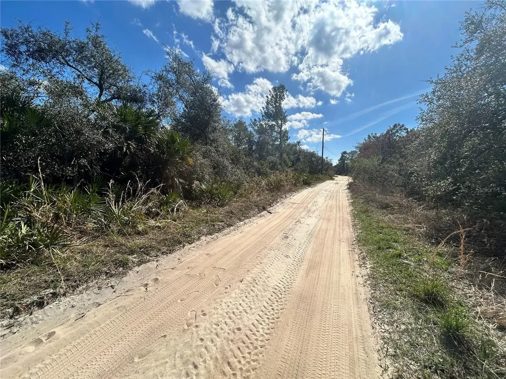 Deer Crossing Road Altoona FL 32702