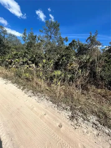 Deer Crossing Road Altoona FL 32702