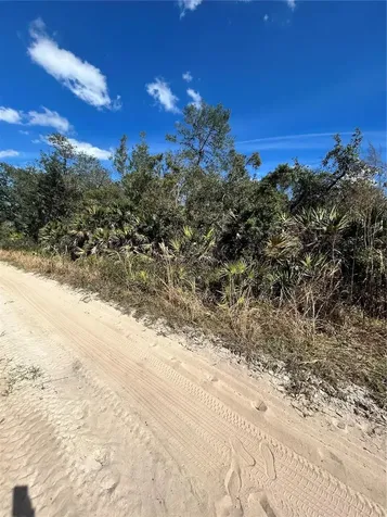 Deer Crossing Road Altoona FL 32702