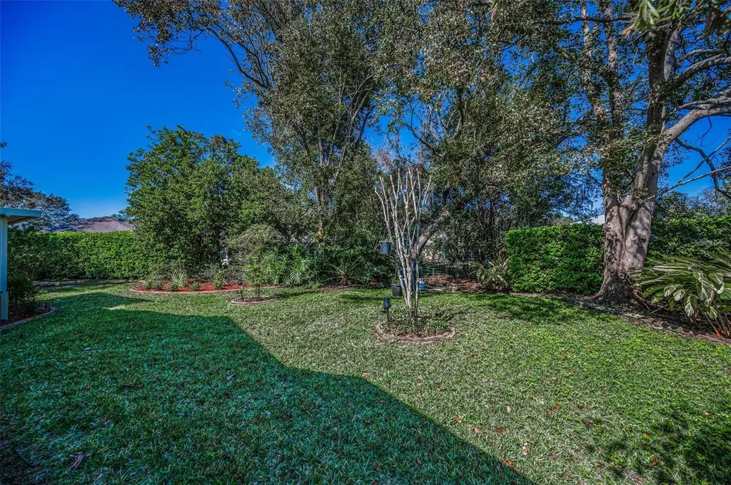 11427 Turtle Dove Place New Port Richey FL 34654