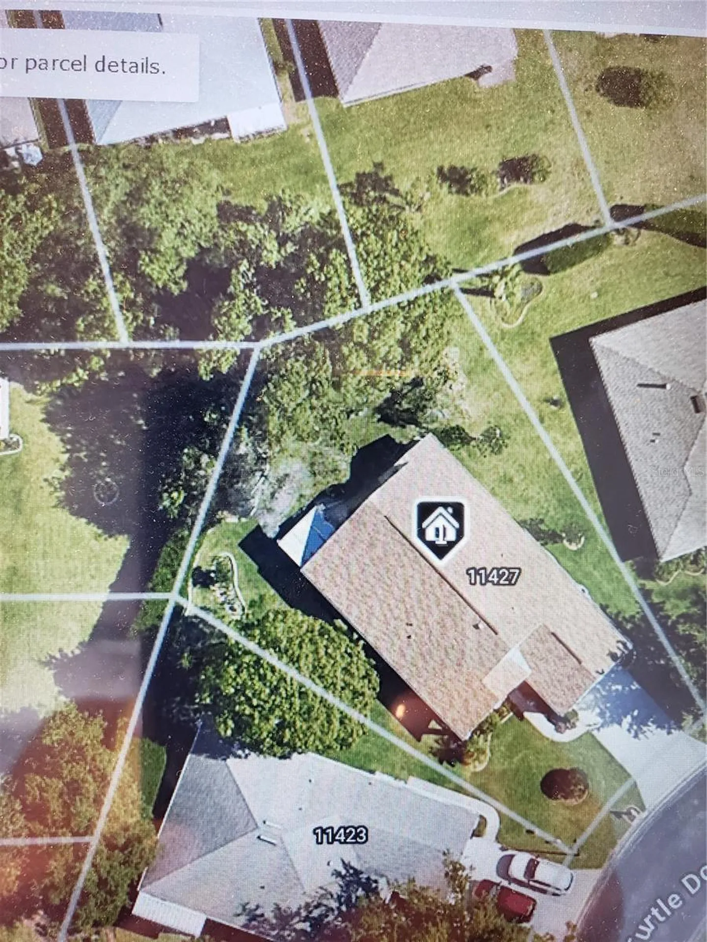 11427 Turtle Dove Place New Port Richey FL 34654