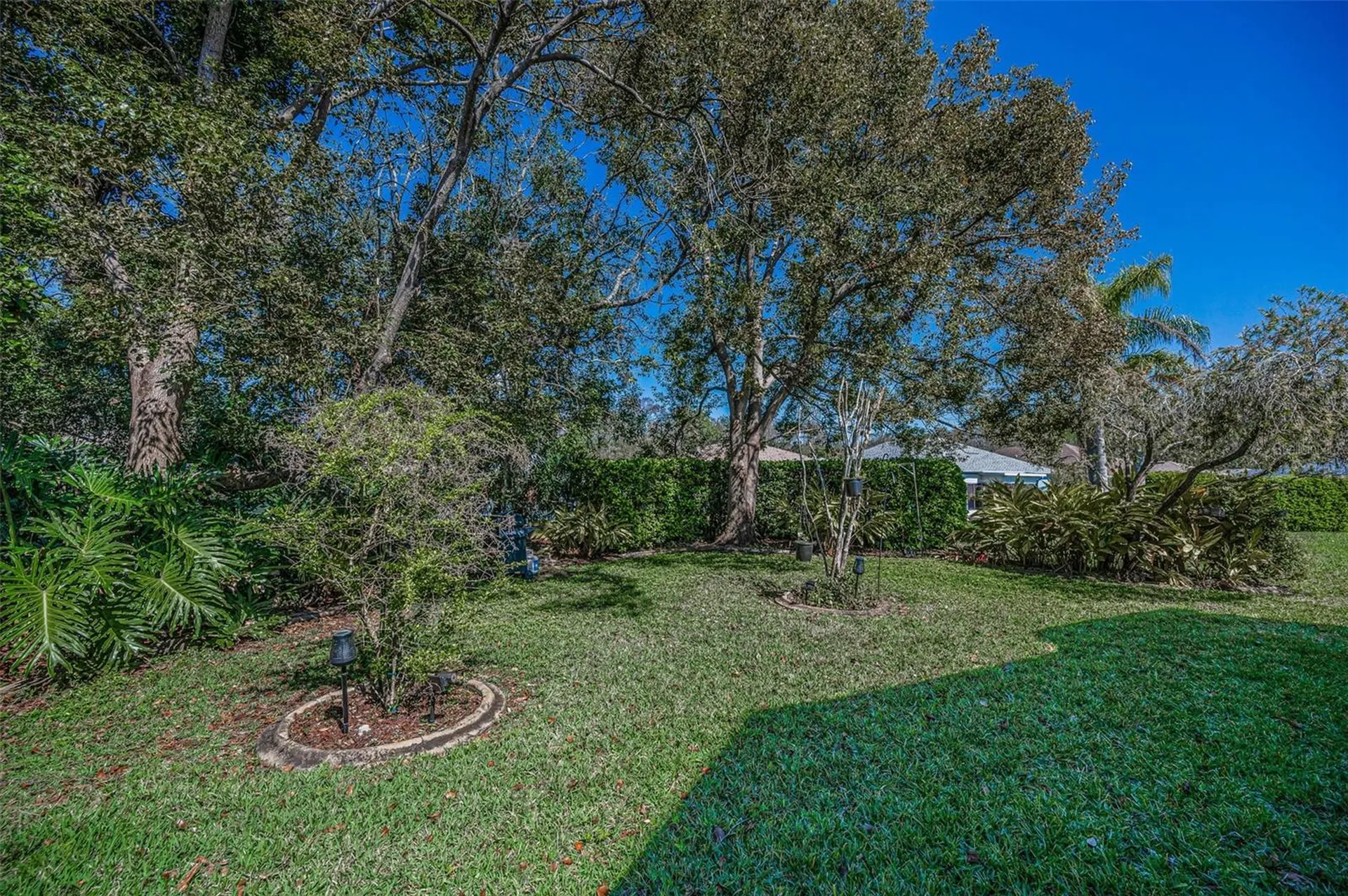 11427 Turtle Dove Place New Port Richey FL 34654