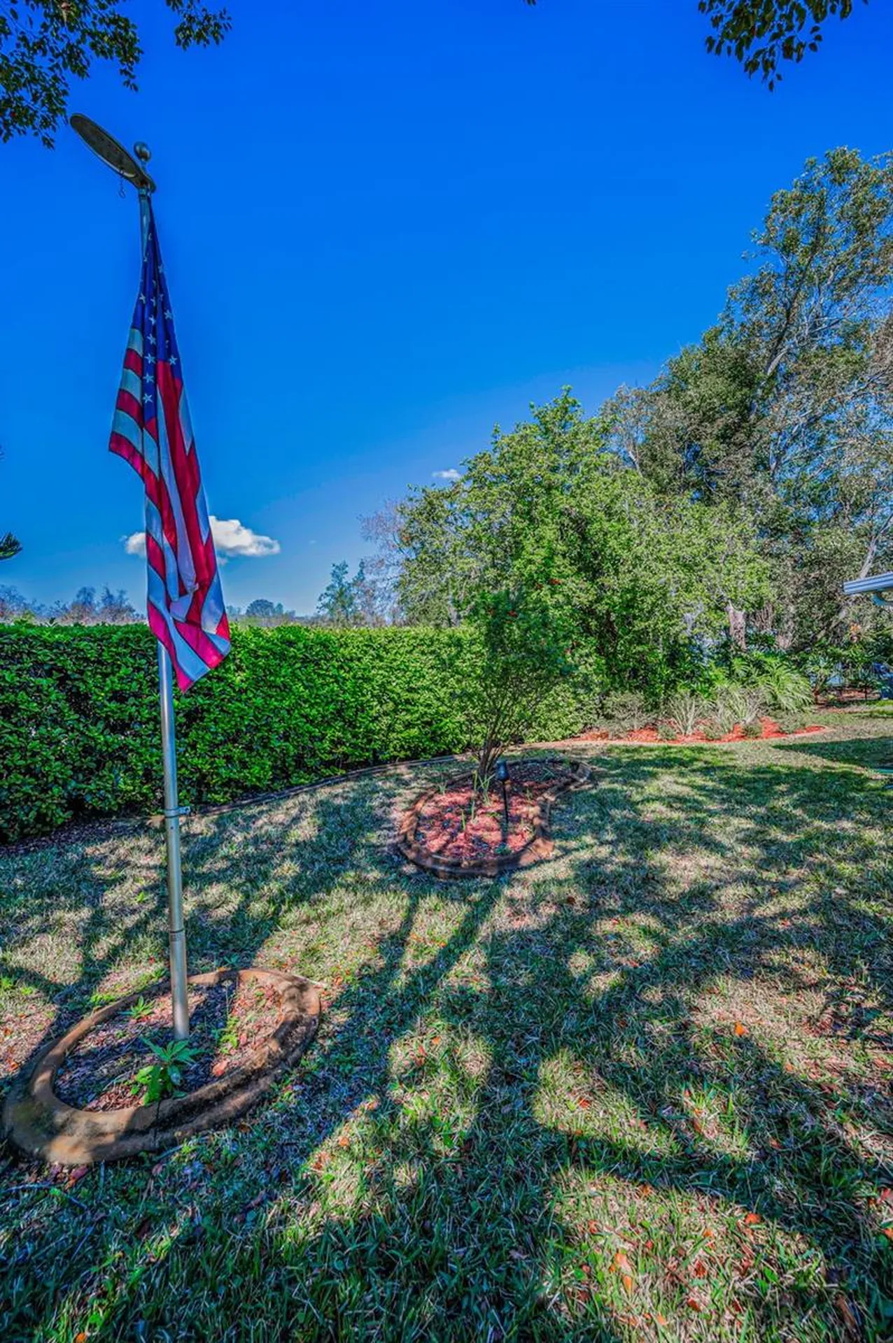 11427 Turtle Dove Place New Port Richey FL 34654