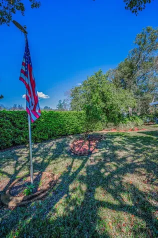 11427 Turtle Dove Place New Port Richey FL 34654