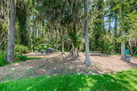 11427 Turtle Dove Place New Port Richey FL 34654