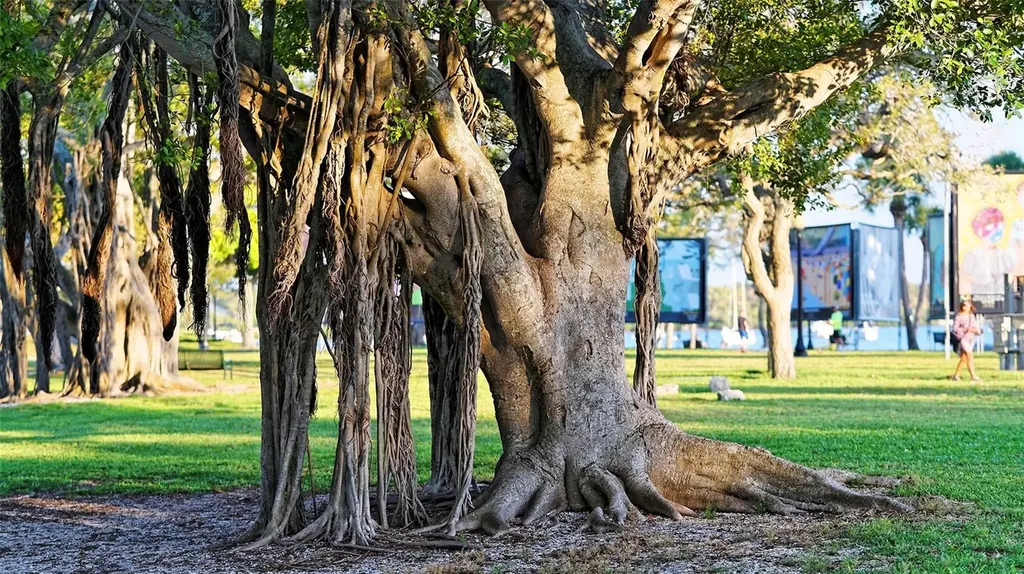 650 Golden Gate Point Sarasota FL 34236