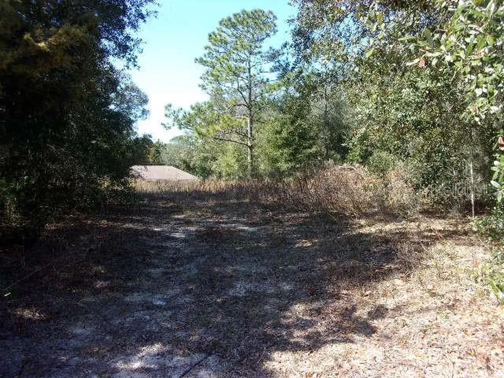 SW 140th Avenue Ocala FL 34481