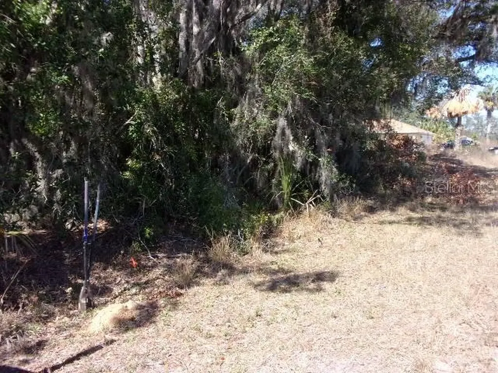 SW 140th Avenue Ocala FL 34481