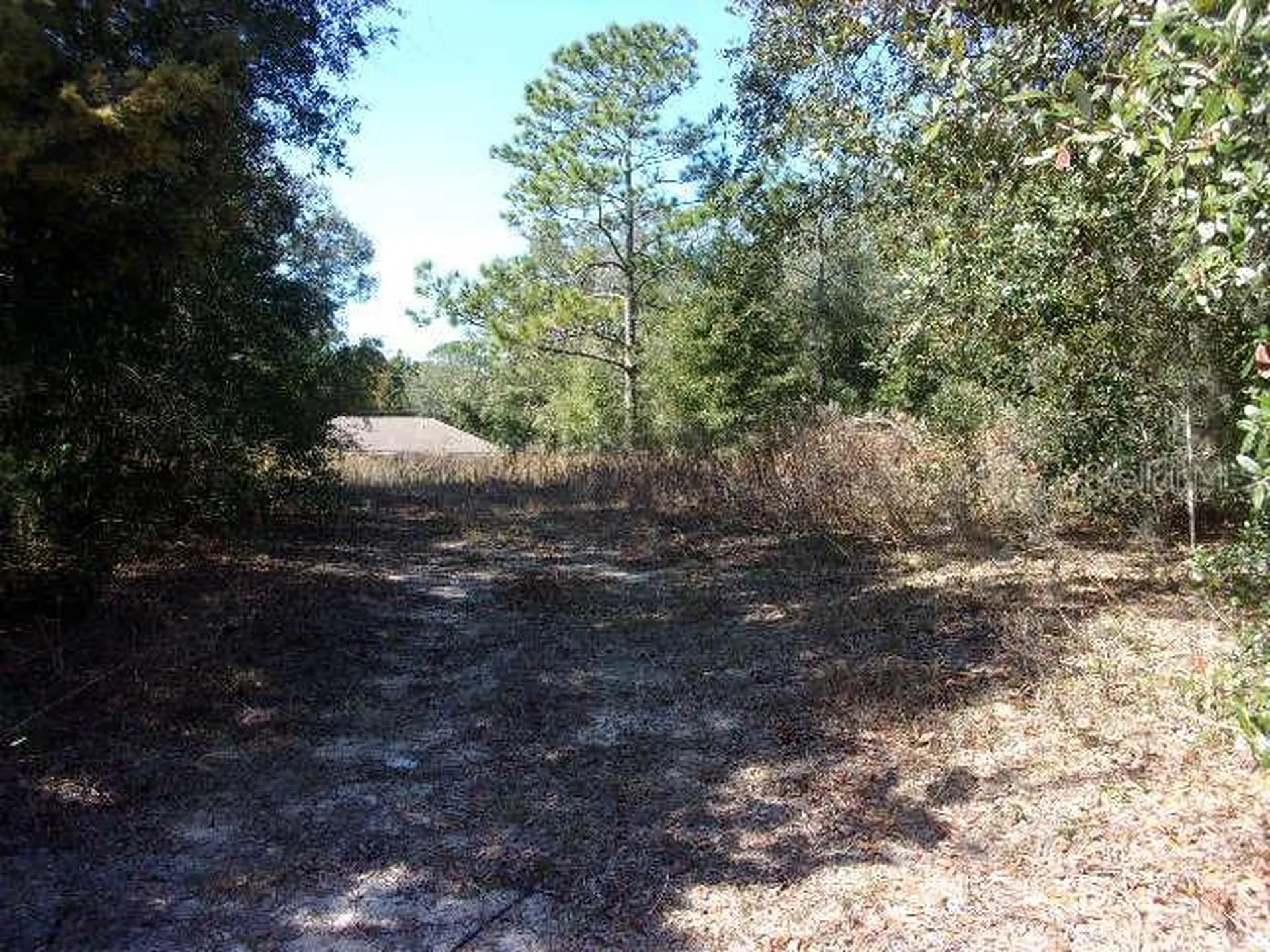 SW 140th Avenue Ocala FL 34481