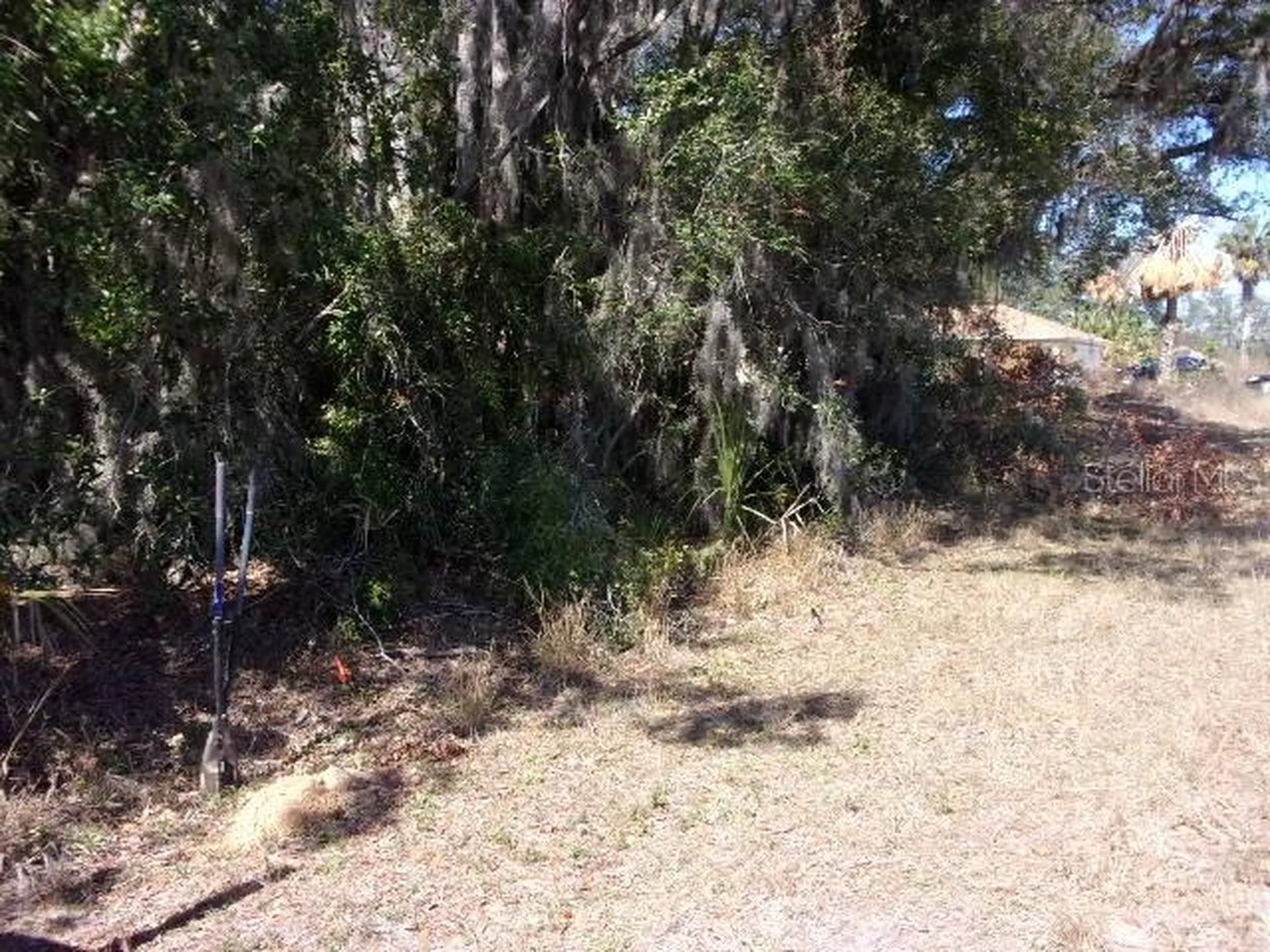 SW 140th Avenue Ocala FL 34481